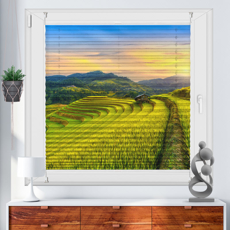 Plissee mit Motiv: Reisfeld