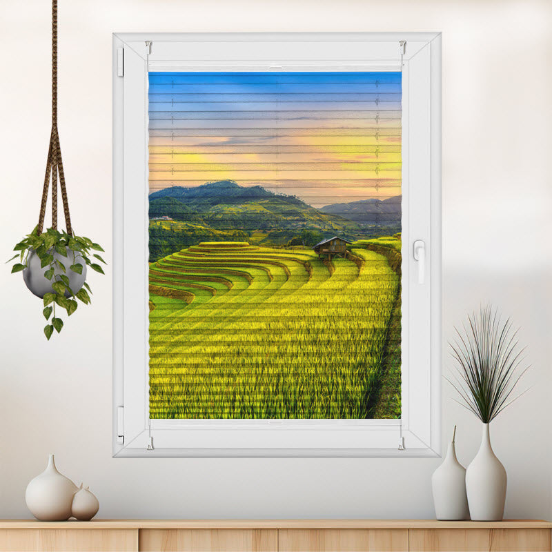 Wabenplissee mit Motiv: Reisfeld