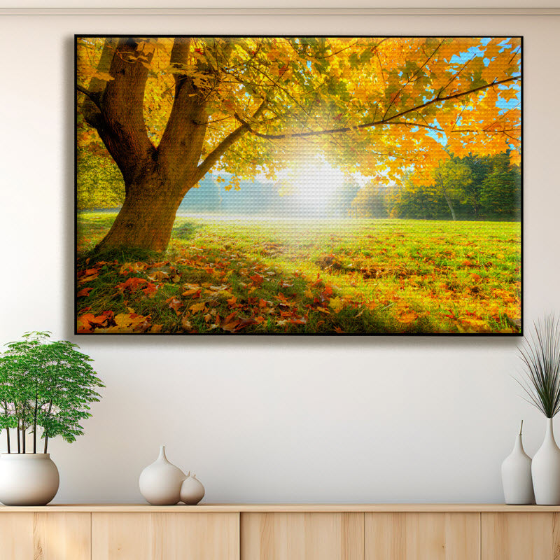 Akustikstoff mit Motiv: Herbstlicher Wald mit Sonnenschein