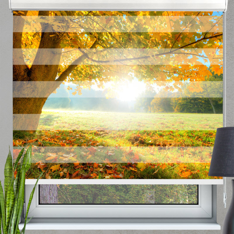 Doppelrollo mit Motiv: Herbstlicher Wald mit Sonnenschein