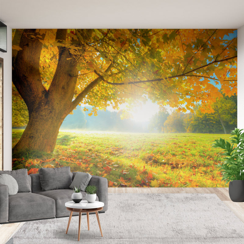 Tapete mit Motiv: Herbstlicher Wald mit Sonnenschein