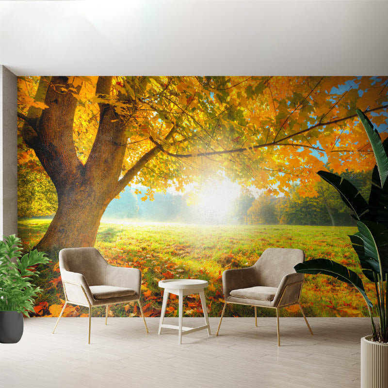 Tapete mit Motiv: Herbstlicher Wald mit Sonnenschein