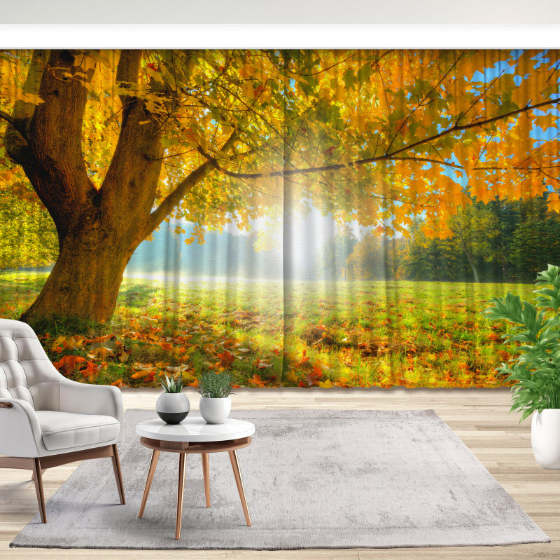 Fotovorhang: Herbstlicher Wald mit Sonnenschein