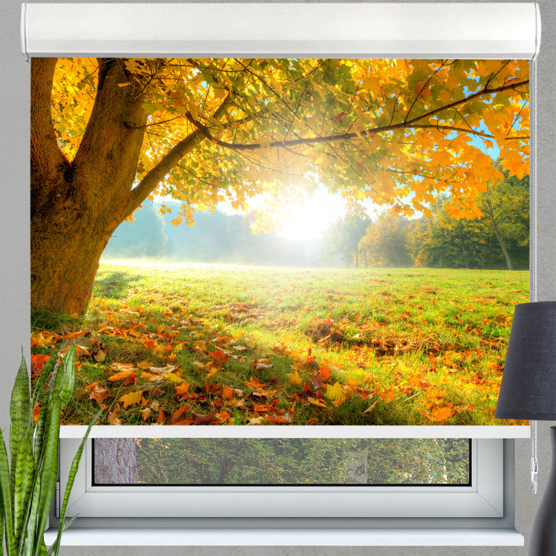 Kassettenrollo mit Motiv: Herbstlicher Wald mit Sonnenschein
