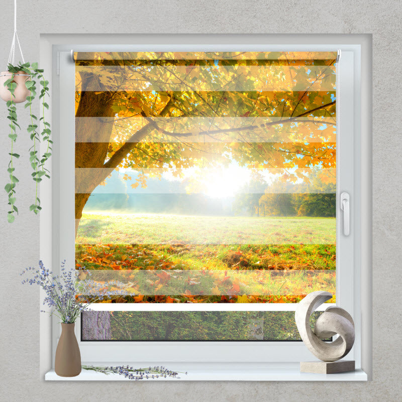 Klemmfix Doppelrollo mit Motiv: Herbstlicher Wald mit Sonnenschein