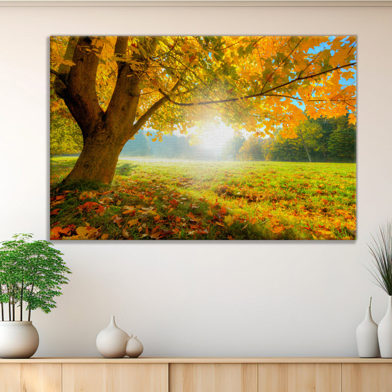Leinwand mit Motiv: Herbstlicher Wald mit Sonnenschein