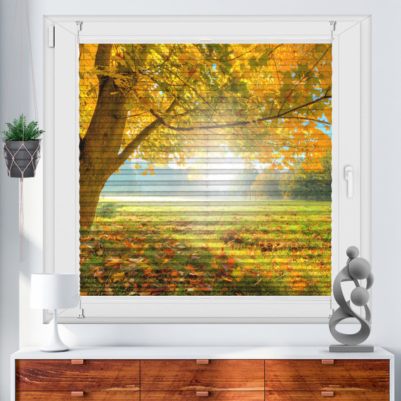 Plissee mit Motiv: Herbstlicher Wald mit Sonnenschein