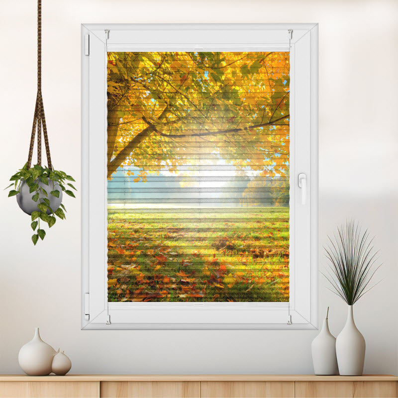 Plissee mit Motiv: Herbstlicher Wald mit Sonnenschein