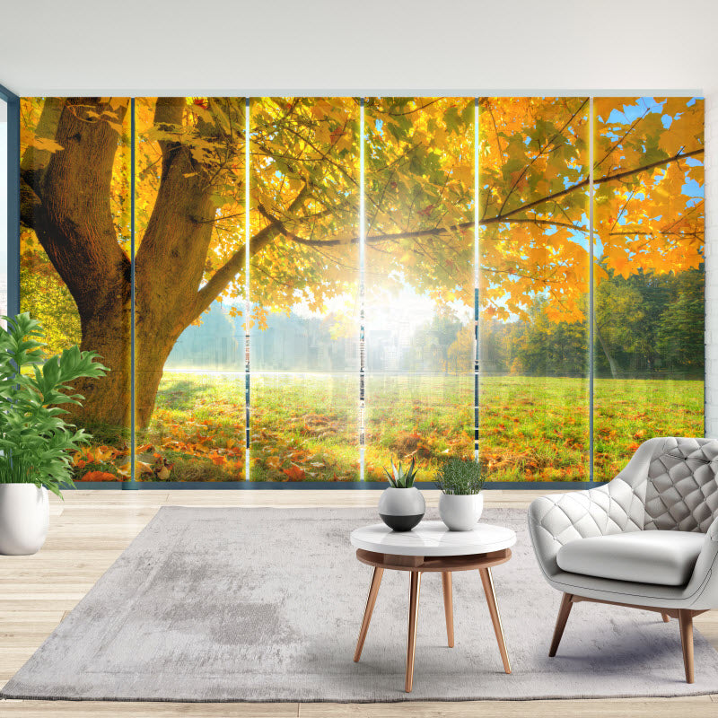 Schiebegardine mit Motiv: Herbstlicher Wald mit Sonnenschein
