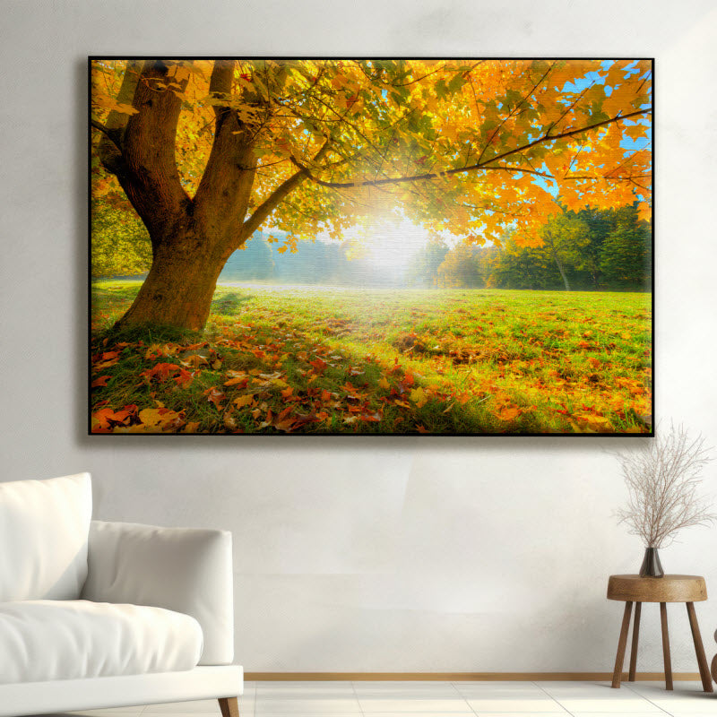 Textilspannrahmen mit Motiv: Herbstlicher Wald mit Sonnenschein