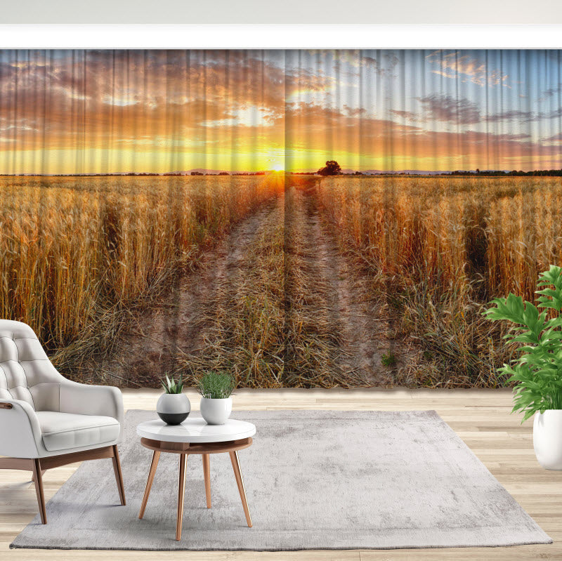 Fotovorhang: Weizenfeld bei Sonnenuntergang
