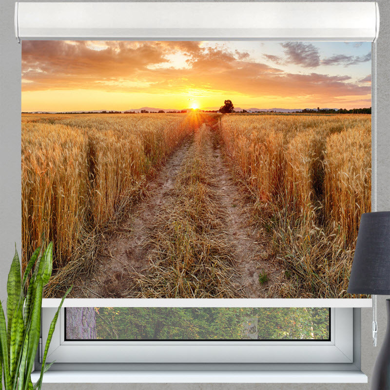 Kassettenrollo mit Motiv: Weizenfeld bei Sonnenuntergang