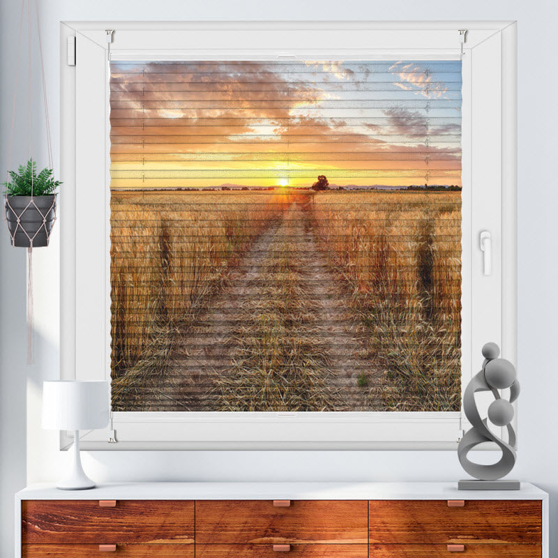 Wabenplissee mit Motiv: Weizenfeld bei Sonnenuntergang