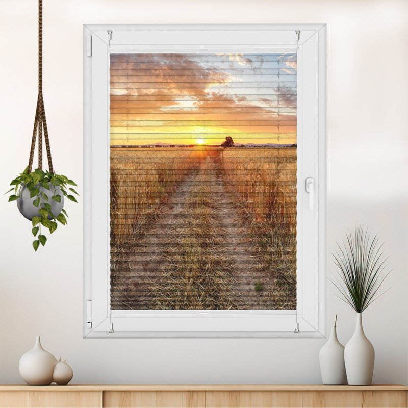 Wabenplissee mit Motiv: Weizenfeld bei Sonnenuntergang