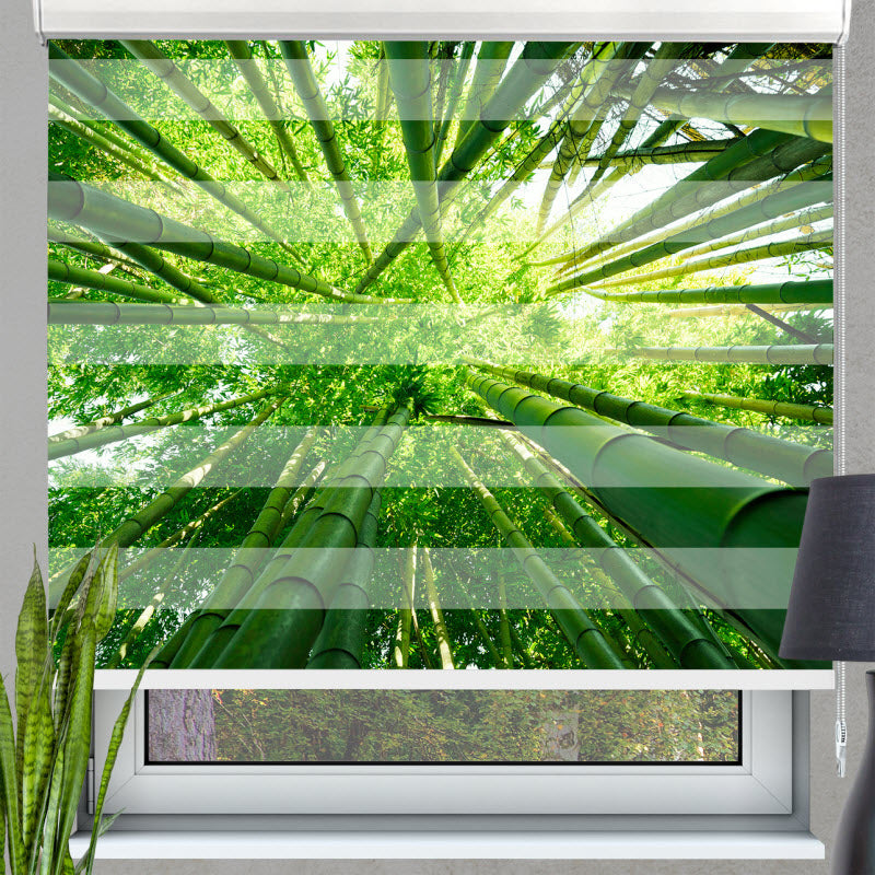 Doppelrollo mit Motiv: Grüne Bambusse