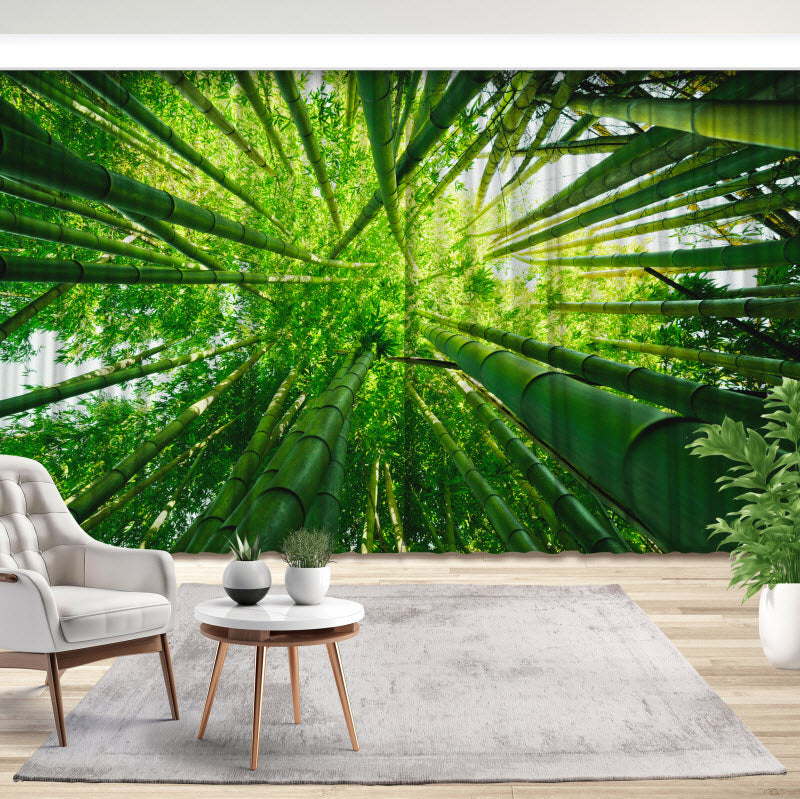 Fotovorhang: Grüne Bambusse