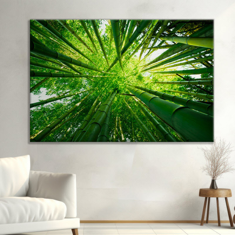 Leinwand mit Motiv: Grüne Bambusse