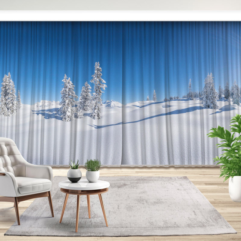 Fotovorhang: Verschneite Winterlandschaft