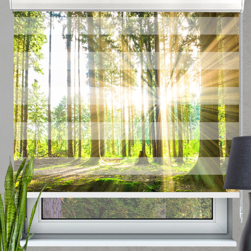 Doppelrollo mit Motiv: Sonne strahlt durch den Wald