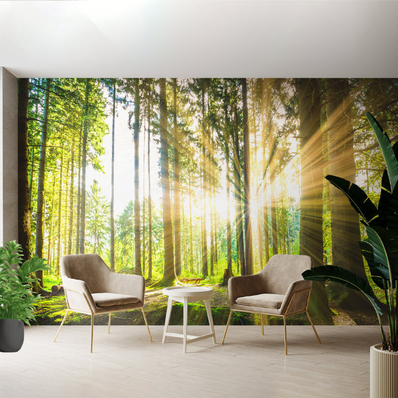 Tapete mit Motiv: Sonne strahlt durch den Wald