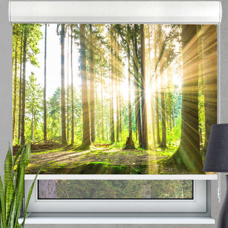 Kassettenrollo mit Motiv: Sonne strahlt durch den Wald
