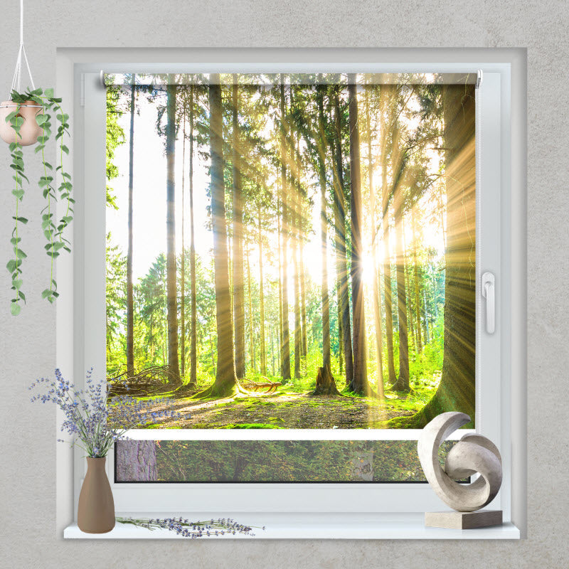 Klemmfix Rollo mit Motiv: Sonne strahlt durch den Wald
