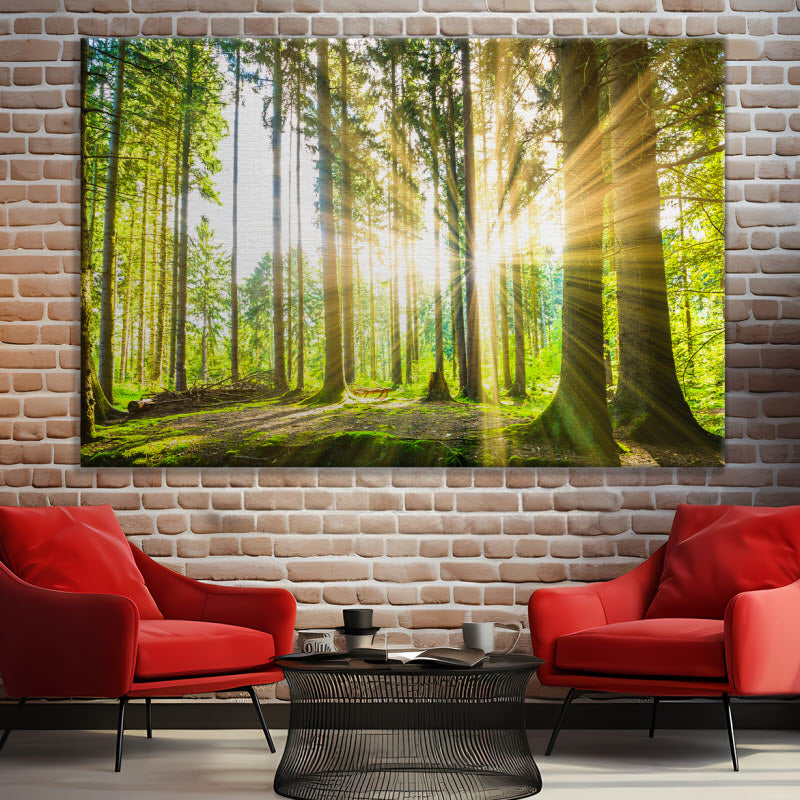Leinwand mit Motiv: Sonne strahlt durch den Wald