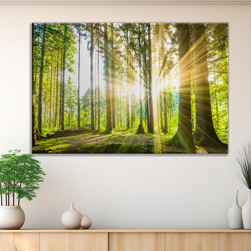 Leinwand mit Motiv: Sonne strahlt durch den Wald