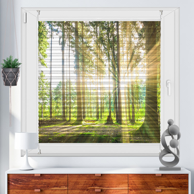 Plissee mit Motiv: Sonne strahlt durch den Wald