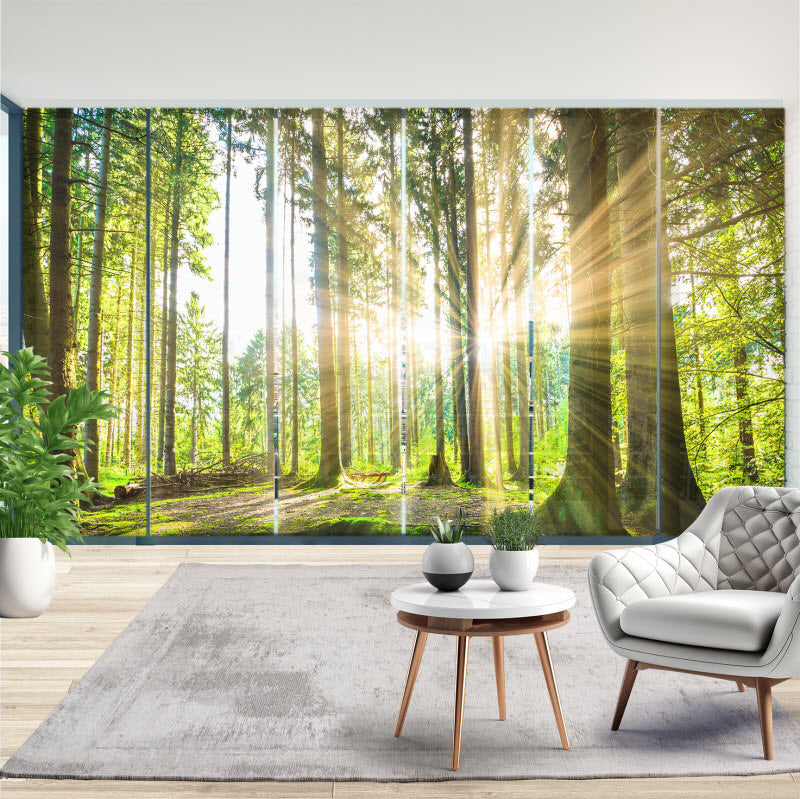 Schiebegardine mit Motiv: Sonne strahlt durch den Wald
