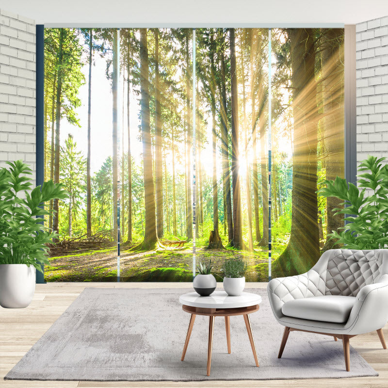 Schiebegardine mit Motiv: Sonne strahlt durch den Wald