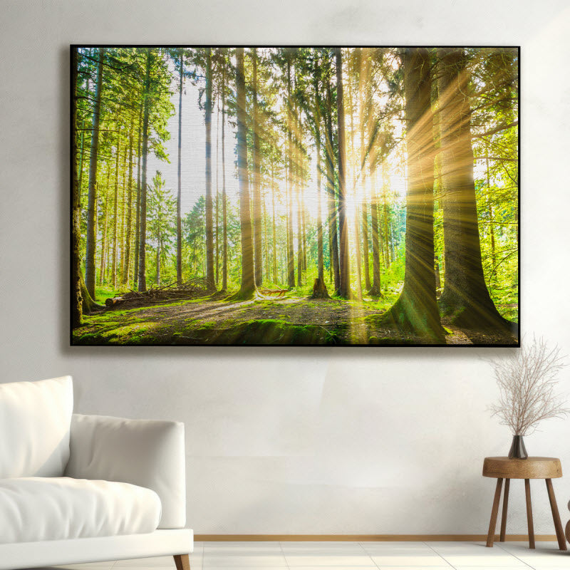 Textilspannrahmen mit Motiv: Sonne strahlt durch den Wald