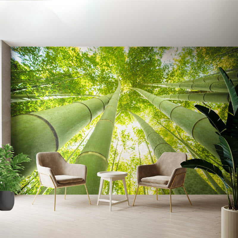 Tapete mit Motiv: Bambus