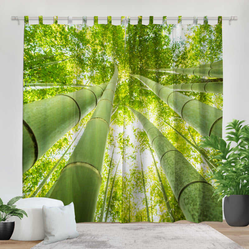 Fotovorhang: Bambus