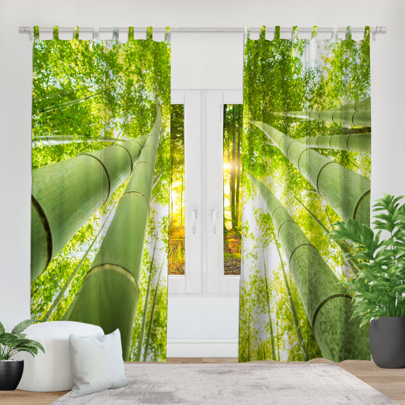 Fotovorhang: Bambus