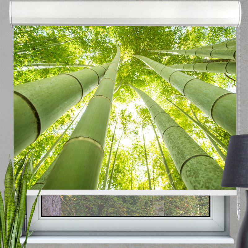 Kassettenrollo mit Motiv: Bambus