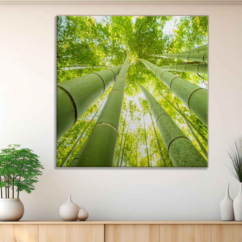 Leinwand mit Motiv: Bambus