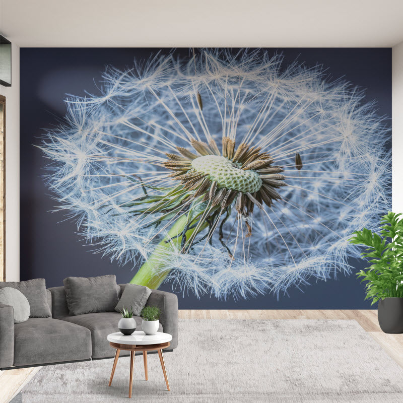 Tapete mit Motiv: Pusteblume V2