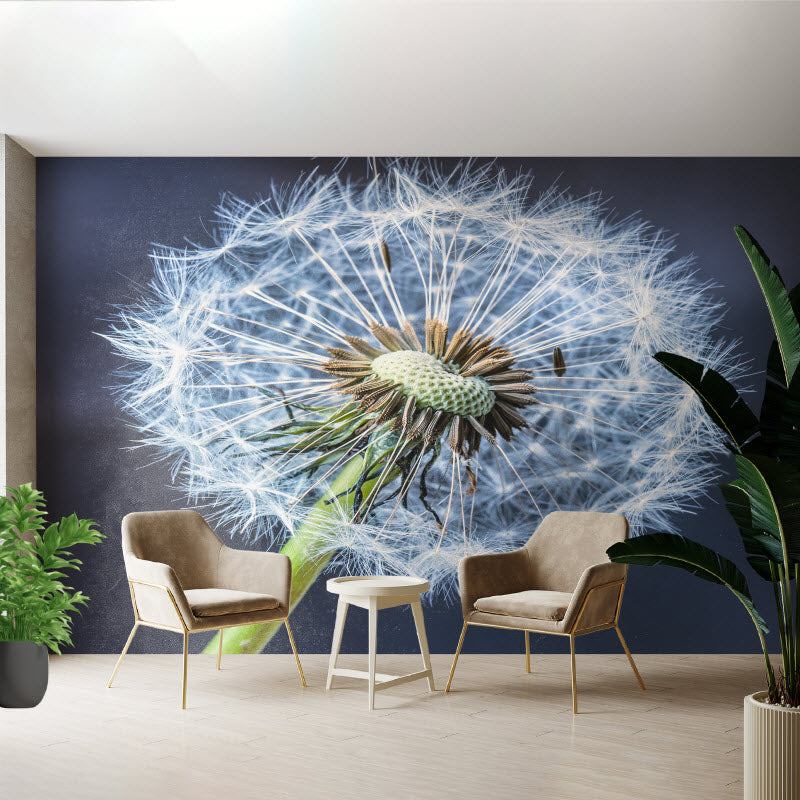 Tapete mit Motiv: Pusteblume V2