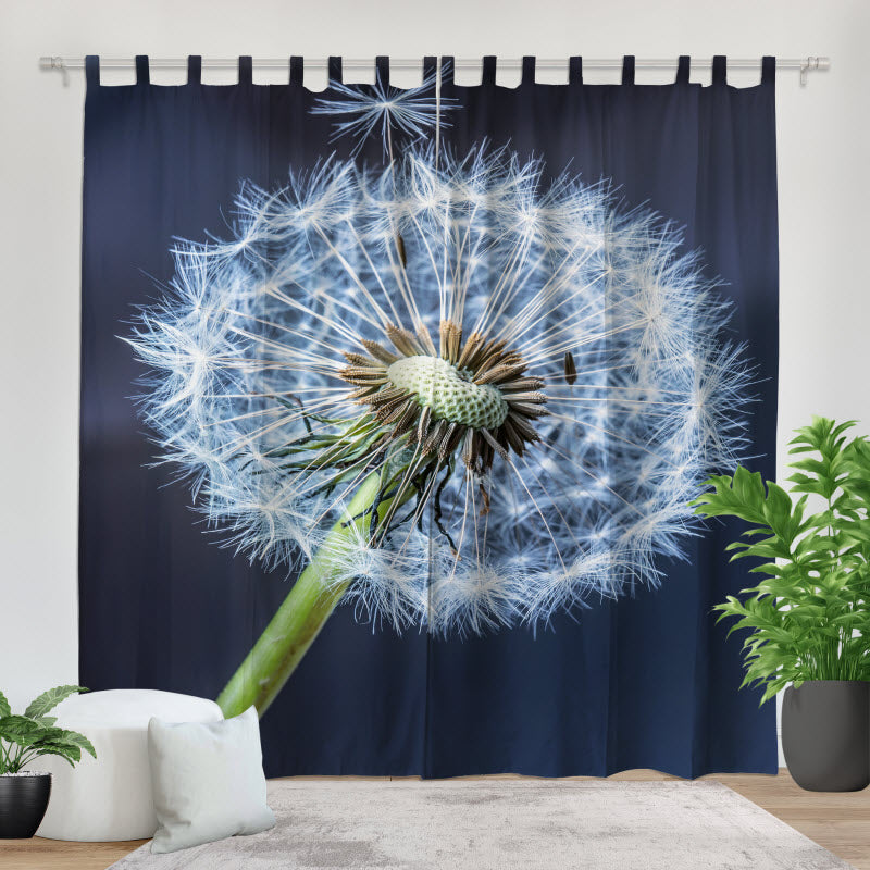Fotovorhang: Pusteblume V2