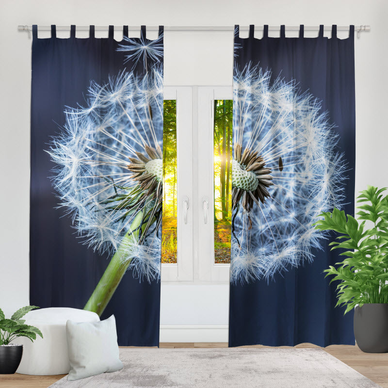 Fotovorhang: Pusteblume V2