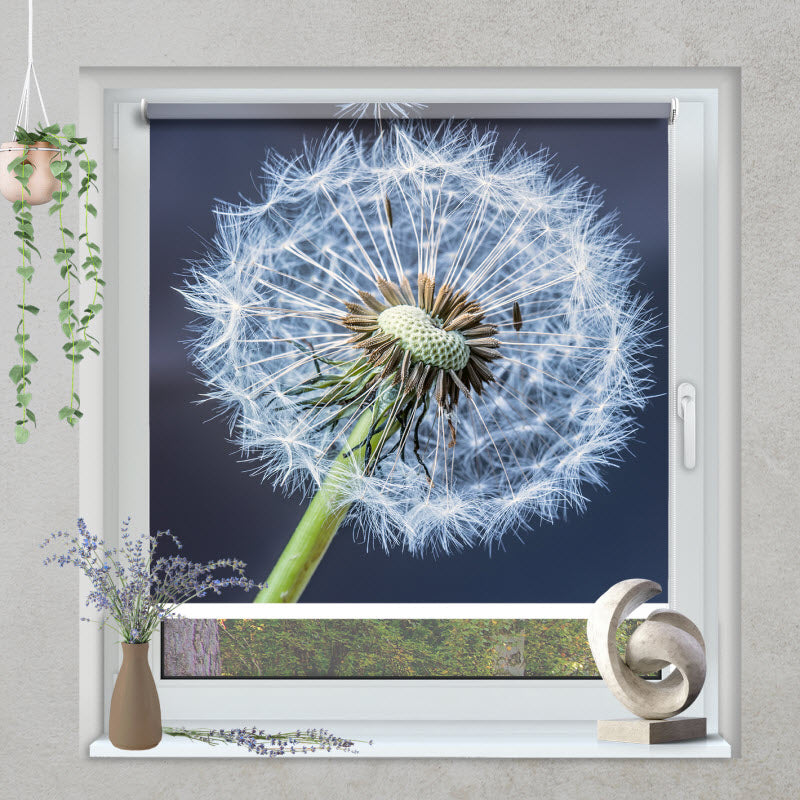 Klemmfix Rollo mit Motiv: Pusteblume V2