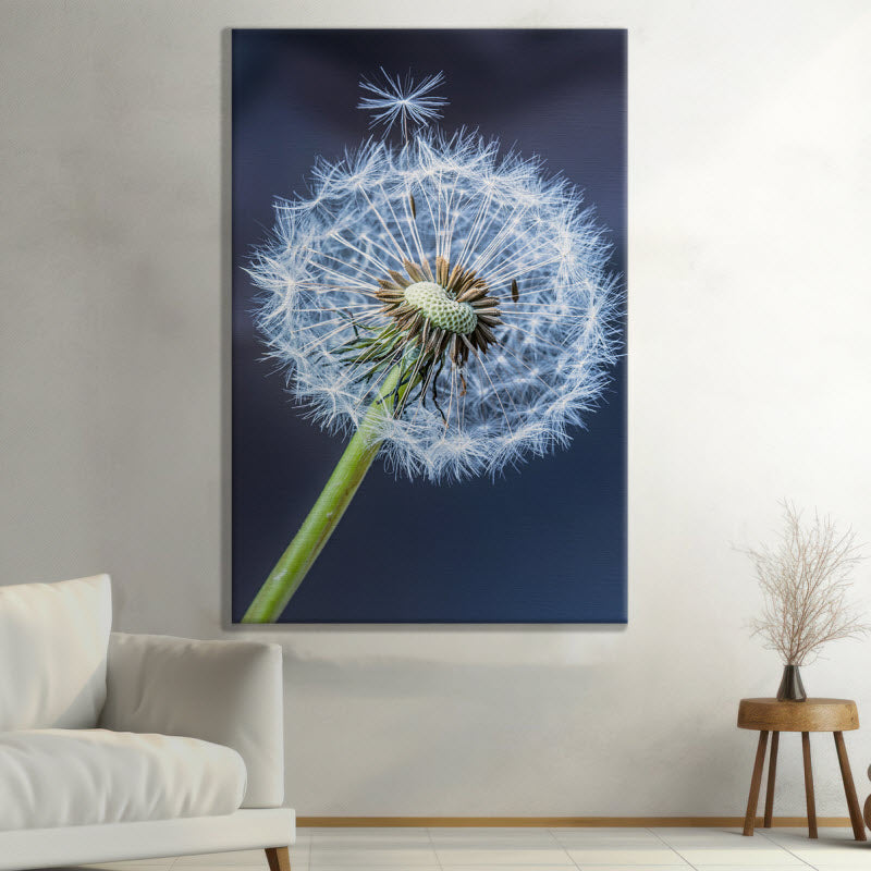 Leinwand mit Motiv: Pusteblume V2