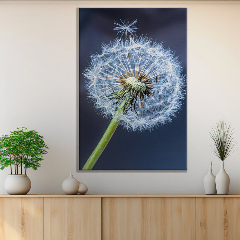 Leinwand mit Motiv: Pusteblume V2