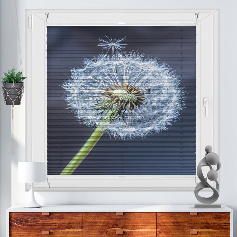 Plissee mit Motiv: Pusteblume V2