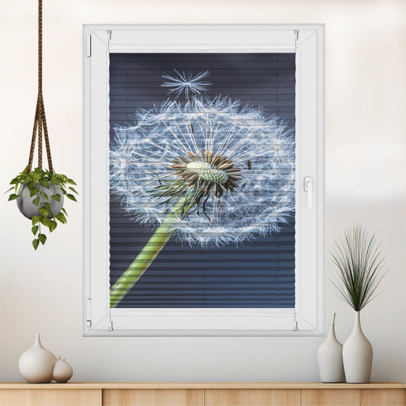 Plissee mit Motiv: Pusteblume V2