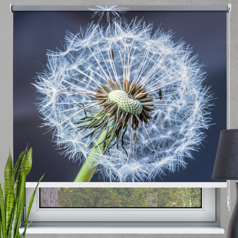 Rollo mit Motiv: Pusteblume V2