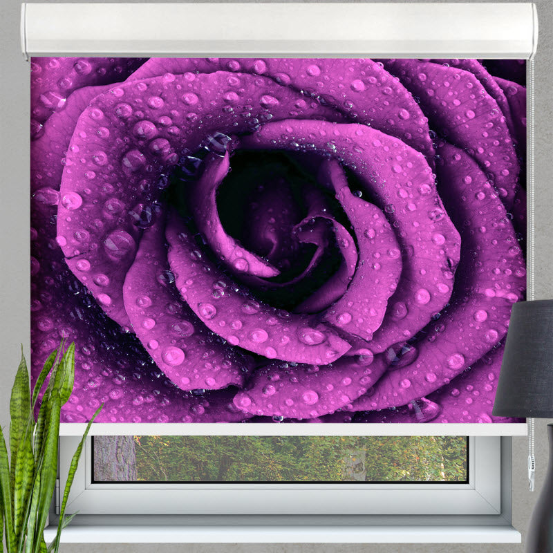 Kassettenrollo mit Motiv: Lila Rose