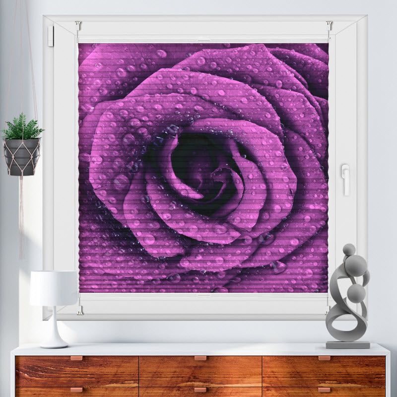 Plissee mit Motiv: Lila Rose