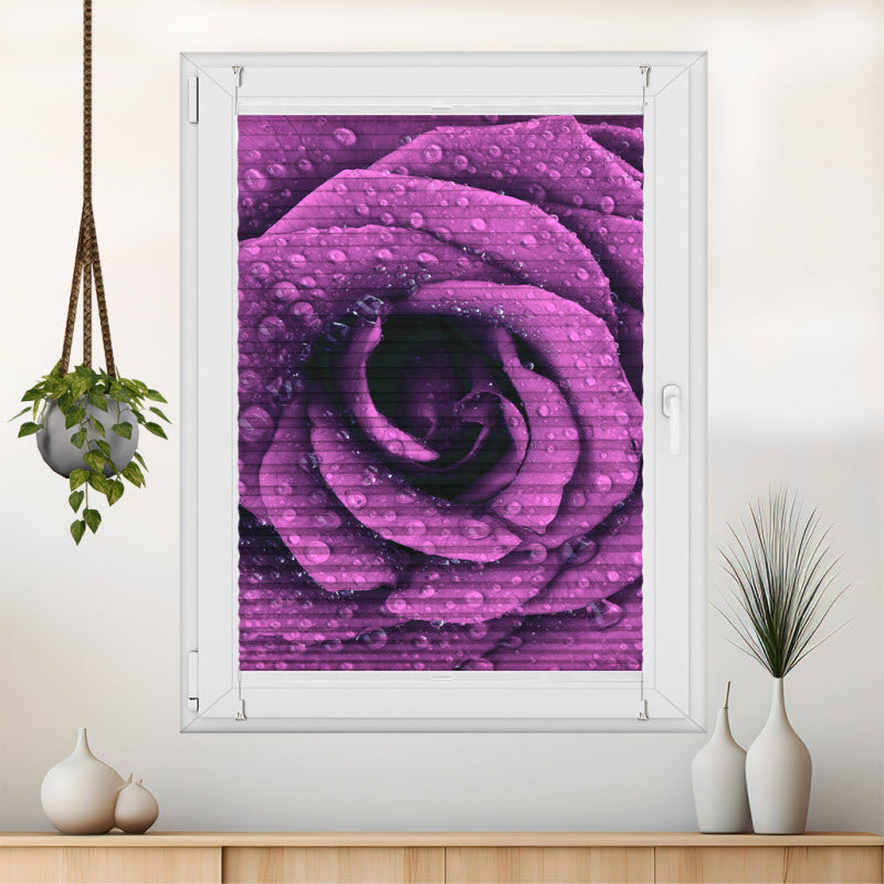 Plissee mit Motiv: Lila Rose